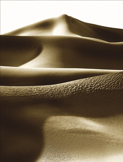 Sand Dunes 5